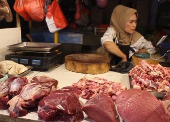 harga daging sapi