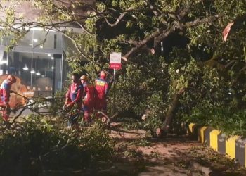 pohon besar tumbang menimpa restoran cepat saji di jalan Riau Bandung, Jumat (6/3/26) malam, satu motor hancur. (Uby/pasjabar)