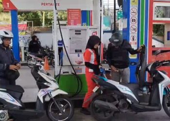 harga pwrtamax