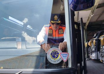ram check bus
