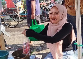 harga cabai pasar