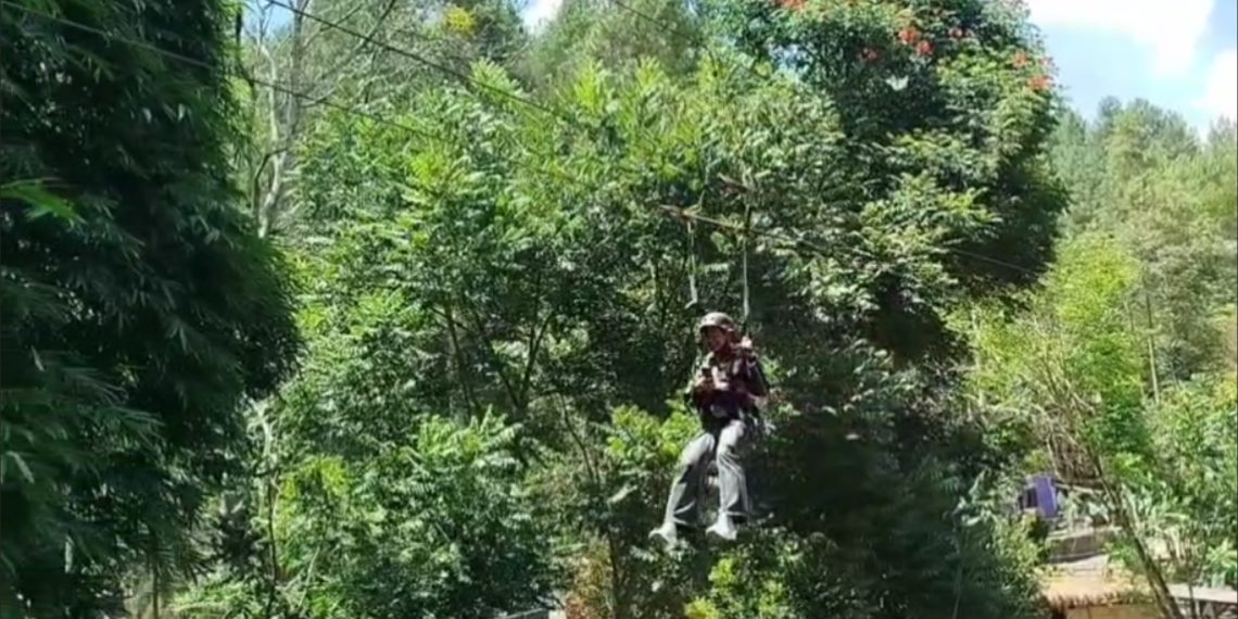Flying Fox Dago