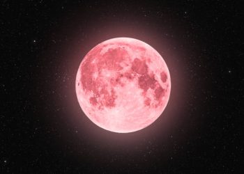 pink moon