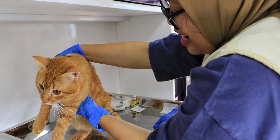 vaksin rabies