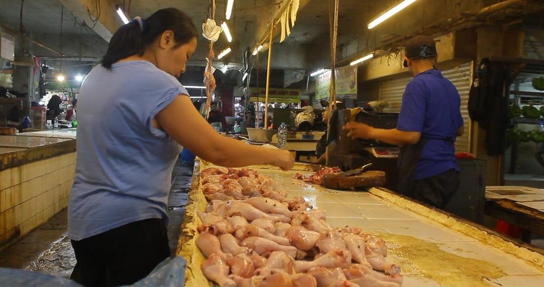 harga ayam kosambi