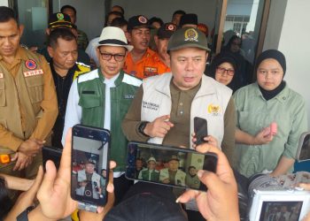 Wakil Ketua DPR RI